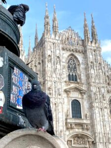 Milan duomo Nordur web